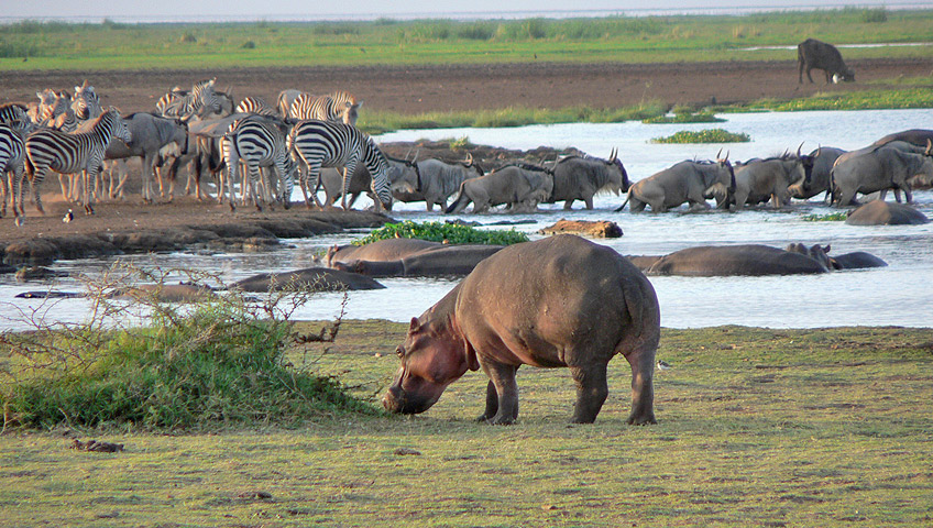 3-Day Jewels of Tanzania