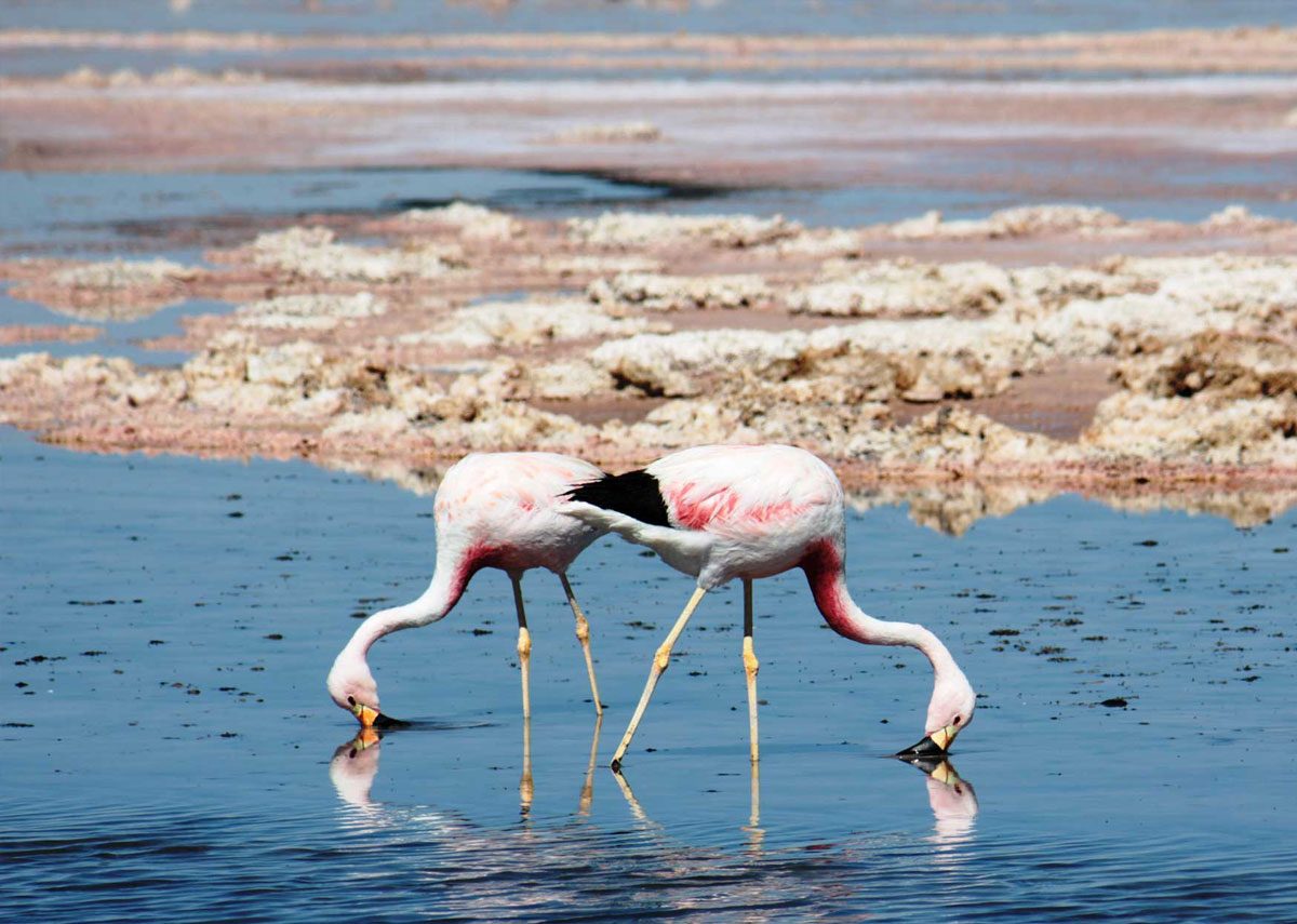 lake-manyara-np