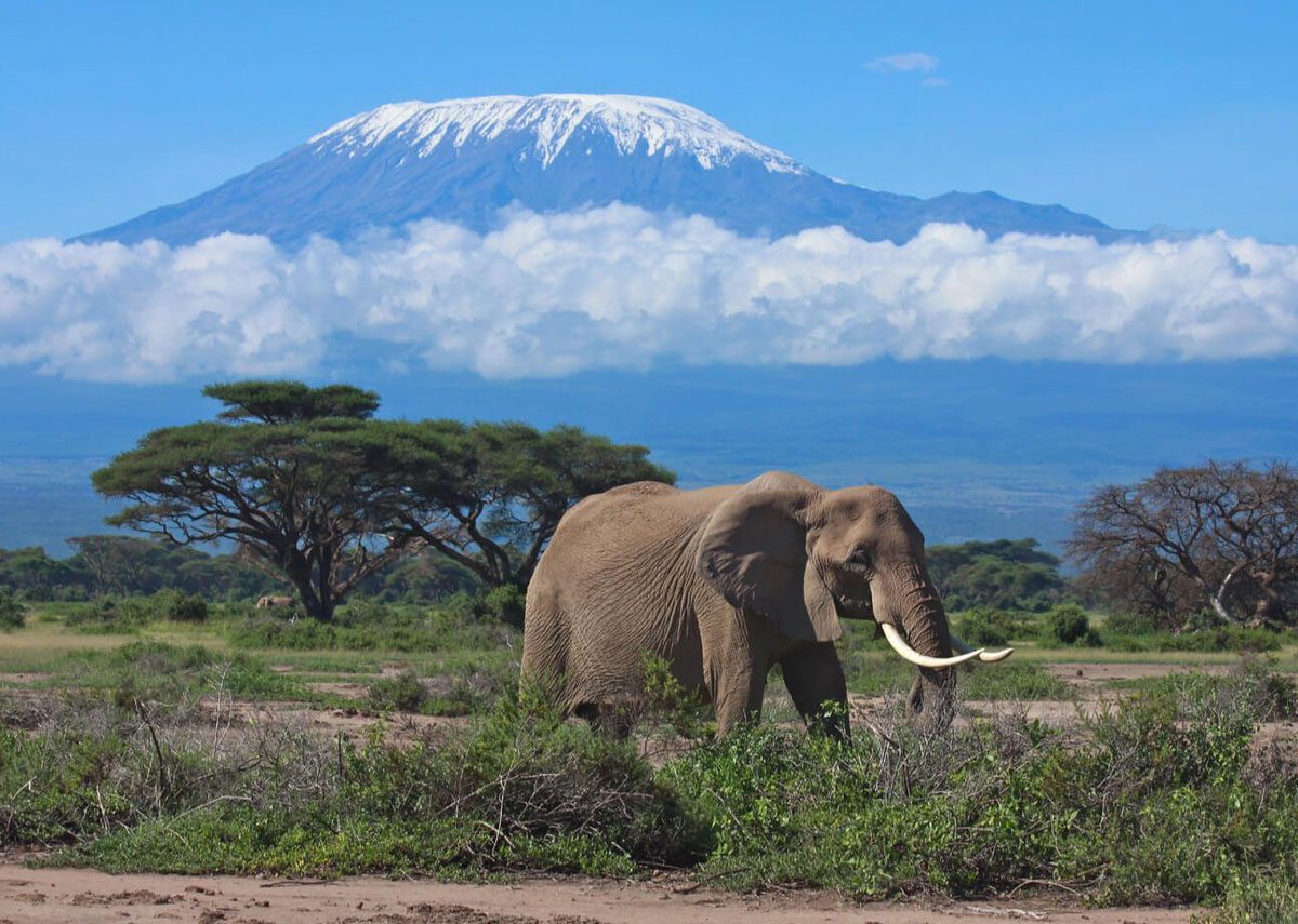 mount-kilimanjaro